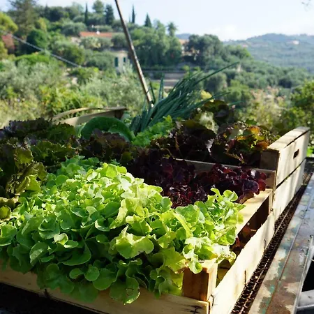 La Quercia *