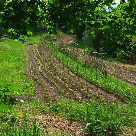 La Quercia Çiftlik konaklama